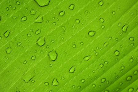 First green hydrogen production project starts in Lithuania, cooperation agreement signed for connecting P2G (power-to-gas) unit to the gas network