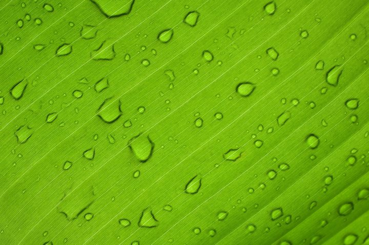 Green Hydrogen Production and Blending pilot project